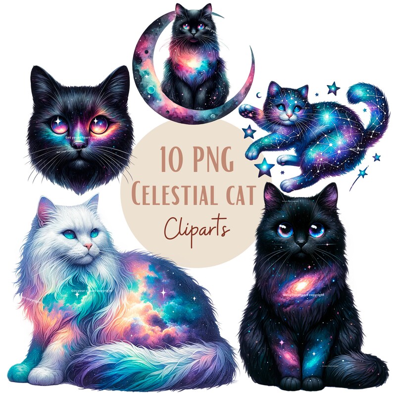 May include: Ten digital clipart images of black and white cats with galaxy and celestial designs. The cats are in various poses, including sitting, lying down, and curled up. Some of the cats have stars and constellations on their fur.
