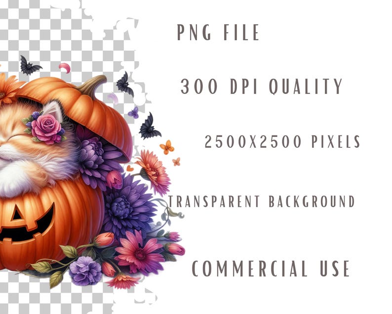 Halloween cat clipart bundle, Halloween clipart, Halloween png graphics, Halloween sublimation, Halloween cat png, With Commercial use image 9