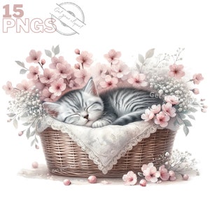 Ensemble d'illustrations de chaton dans un panier floral pour tous vos projets créatifs et professionnels, usage commercial inclus