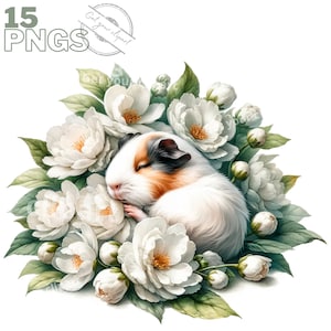 Ensemble d'illustrations de cochons d'Inde et de fleurs, cliparts de lapins pour tous vos projets créatifs, usage commercial inclus