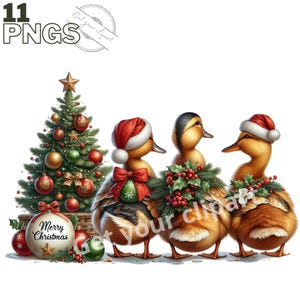Ensemble d'illustrations de canards et canetons de Noël pour tous vos projets créatifs et professionnels, usage commercial inclus