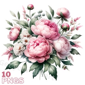 Ensemble d'illustrations de pivoines roses, Cliparts de fleurs façon aquarelle pour tous vos projets créatifs et professionnels