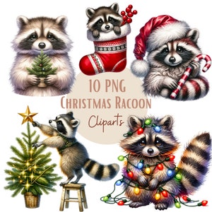 Images de raton laveur de Noël, Images PNG de raton laveur de Noël pour vos projets créatifs ou professionnels, usage commercial inclus
