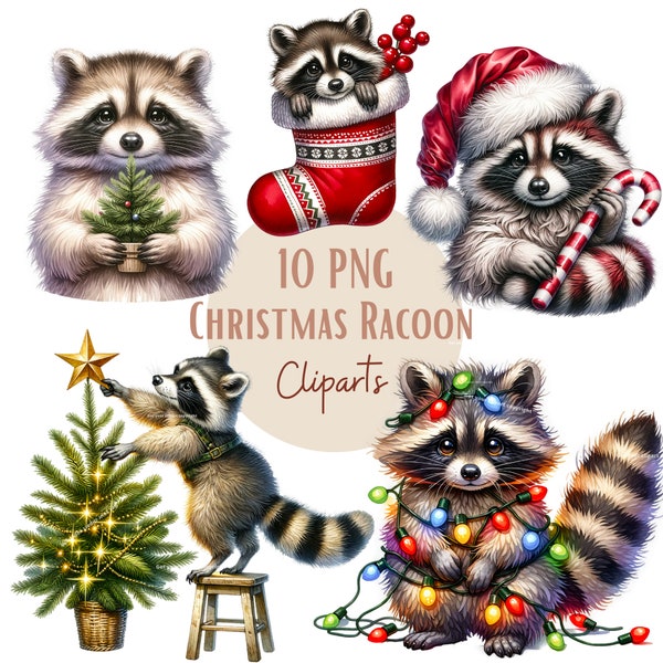 Christmas Racoon clipart bundle, Racoon png graphics, Set of 10, Transparent background, Commercial use, Instant download