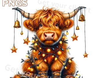 Christmas Highland cow clipart bundle, Scottish Highland cow, Set of 10, Transparent background, Commercial use, Instant download