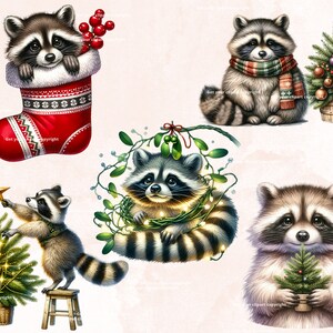 May include: Five illustrations of raccoons celebrating Christmas. One raccoon is wearing a scarf and sitting next to a decorated Christmas tree. Another raccoon is in a red stocking with holly berries. A third raccoon is holding a small Christmas tree. A fourth raccoon is decorating a Christmas tree. The fifth raccoon is surrounded by mistletoe and Christmas lights.