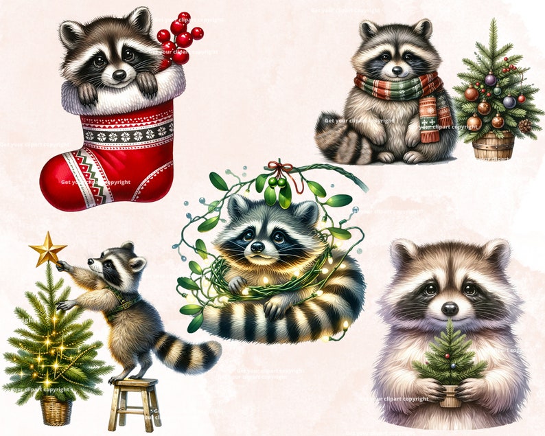 May include: Five illustrations of raccoons celebrating Christmas. One raccoon is wearing a scarf and sitting next to a decorated Christmas tree. Another raccoon is in a red stocking with holly berries. A third raccoon is holding a small Christmas tree. A fourth raccoon is decorating a Christmas tree. The fifth raccoon is surrounded by mistletoe and Christmas lights.