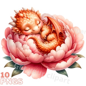 Ensemble d'illustrations de dragons et de fleurs , Cliparts façon aquarelle pour tous vos projets créatifs et professionnels