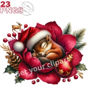 Ensemble d'illustrations d'écureuil de Noël endormi dans une fleur, cliparts d'hiver pour tous vos projets créatifs, usage commercial inclus