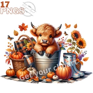 Ensemble d'illustrations de bébé vache d'automne, clipart de vache écossaise pour tous vos projets créatifs, usage commercial inclus