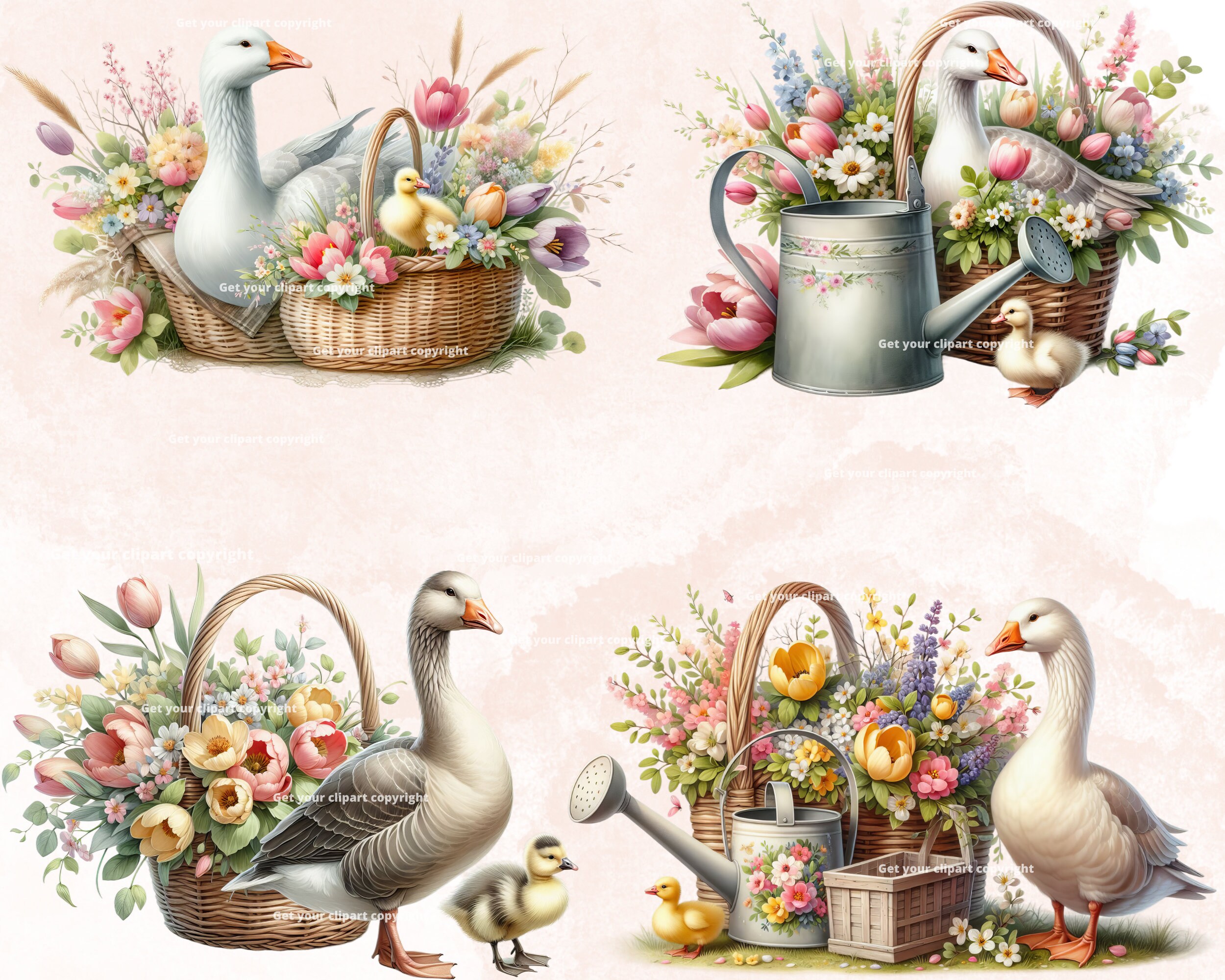 Springtime Goose Spring Goose Clipart Bundle, Watercolor Birds, Watercolor Spring ...
