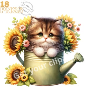 Ensemble d'illustrations de chatons et de tournesols, clipart floral pour tous vos projets créatifs, usage commercial inclus