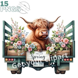 Images de vaches écossaises en fleurs, Images PNG de printemps pour vos projets créatifs ou professionnels, usage commercial inclus