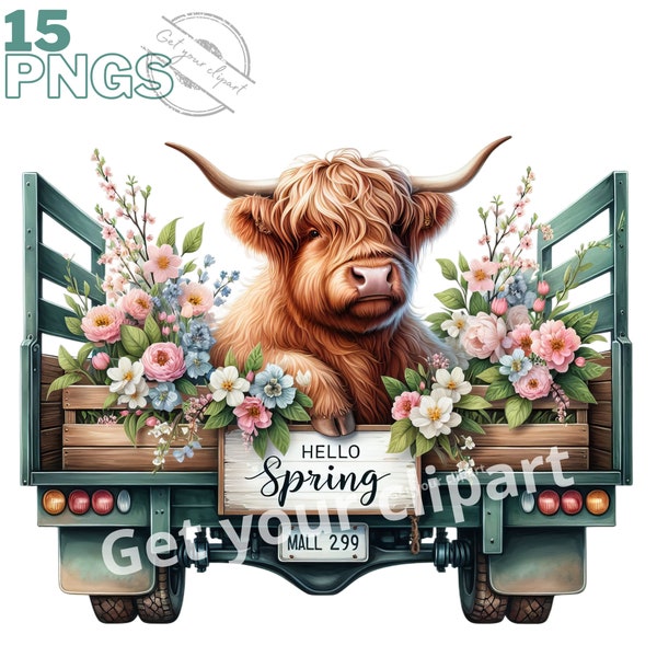 Images de vaches écossaises en fleurs, Images PNG de printemps pour vos projets créatifs ou professionnels, usage commercial inclus