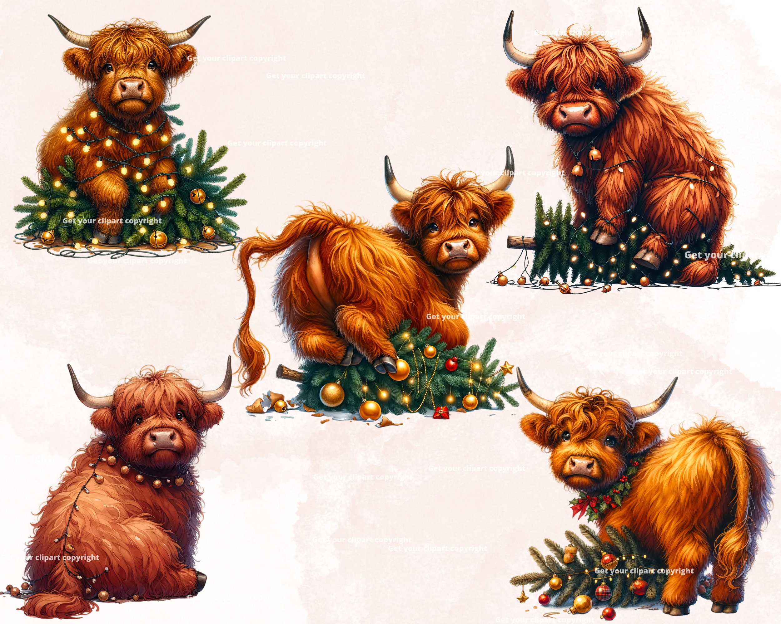 Christmas Highland Cow Clipart Bundle, Scottish Highland Cow, Set of 10 ...