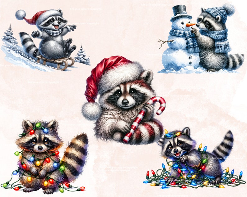 May include: Four illustrations of raccoons in winter holiday settings. One raccoon is wearing a Santa hat and holding a candy cane. Another raccoon is wearing a blue hat and scarf and is building a snowman. A third raccoon is wearing a red hat and is riding a sled down a snowy hill. The fourth raccoon is tangled in Christmas lights.