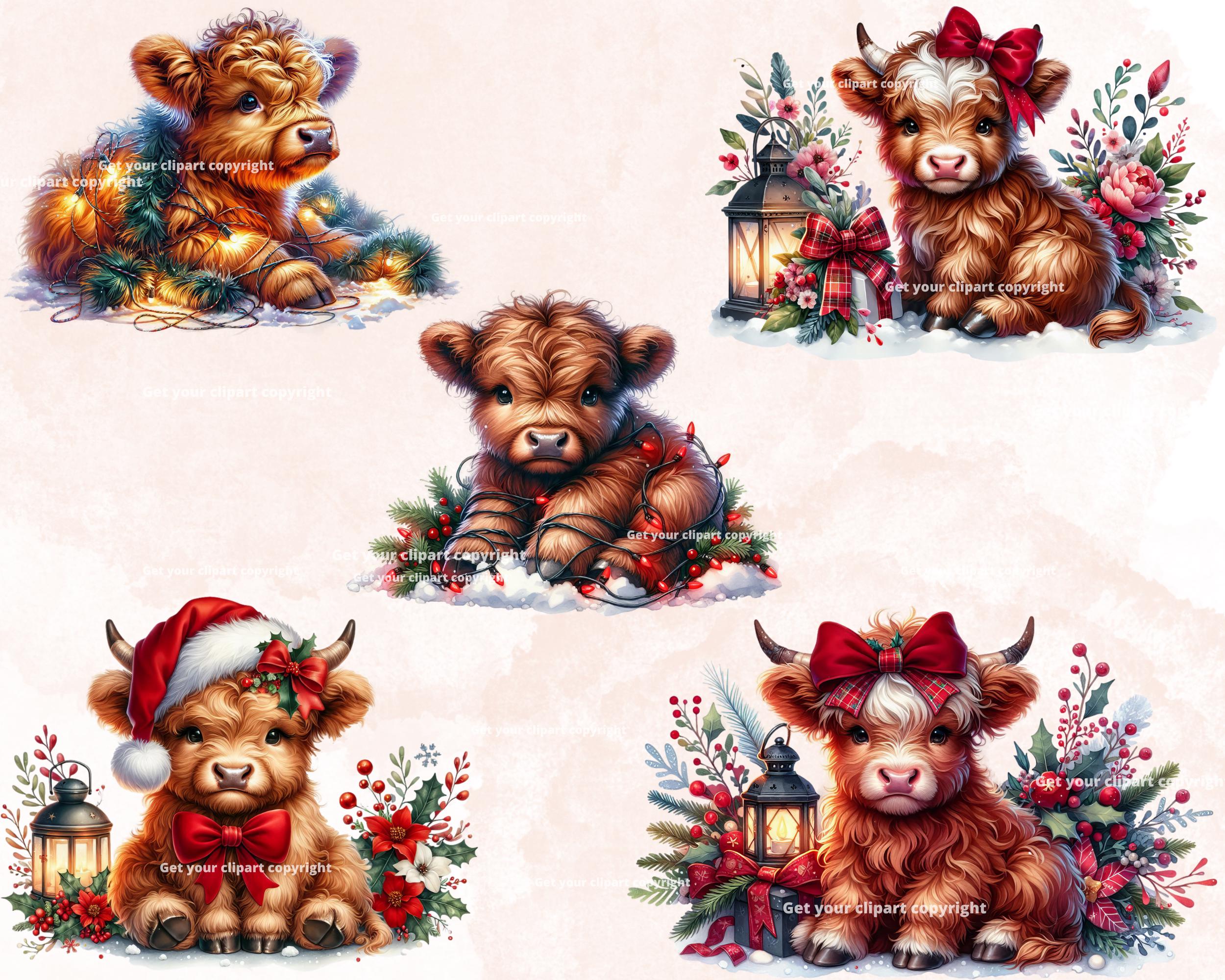 Christmas Highland Cow Clipart Bundle Scottish Highland Cow Set Of 10 christmas-highland-cow-clipart-bundle-scottish-highland-cow-set-of-10