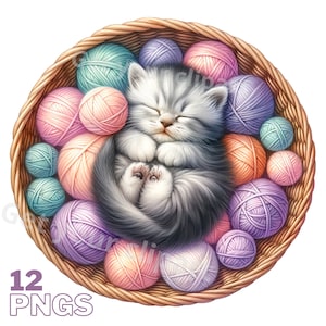Images de chats mignons dans des paniers de laine, images PNG de chats mignons pour vos projets créatifs, usage commercial inclus