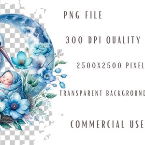 May include: A digital illustration of a white stork carrying a sleeping baby wrapped in a blue blanket. The stork is standing on a crescent moon with blue and white clouds. The background is a transparent checkered pattern.