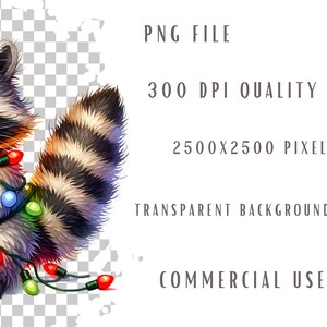 May include: A cartoon raccoon wearing a string of colourful Christmas lights. The raccoon is standing on a transparent background.