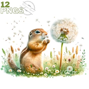 Ensemble d'illustrations d'écureuil terrestre, cliparts d'écureuils pour tous vos projets créatifs, usage commercial inclus