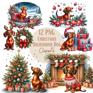 Weihnachts-Dackel-Bilder, Dackel-Hund-PNG-Bilder für Ihre kreativen oder professionellen Projekte, kommerzielle Nutzung inbegriffen
