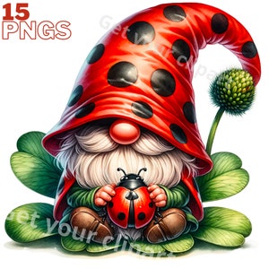Ladybug Gnome clipart bundle, Gnome clipart, Spring gnome png graphics, Spring sublimation, Transparent background, Commercial Use image 1