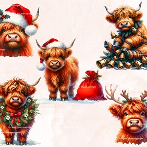 May include: Four digital illustrations of Highland cattle wearing festive attire. One is wearing a Santa hat, another has a wreath around its neck, another is tangled in Christmas bells, and the last one has reindeer antlers and a holly wreath.