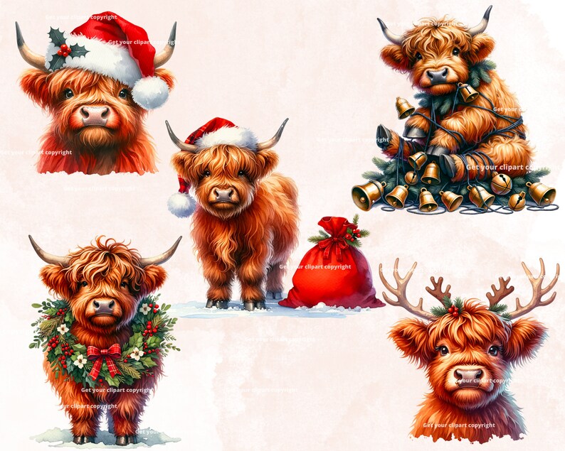 May include: Four digital illustrations of Highland cattle wearing festive attire. One is wearing a Santa hat, another has a wreath around its neck, another is tangled in Christmas bells, and the last one has reindeer antlers and a holly wreath.