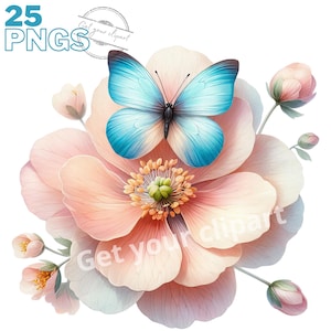 Ensemble d'illustrations de papillons et de fleurs, Clipart de fleurs façon aquarelle pour tous vos projets créatifs et professionnels