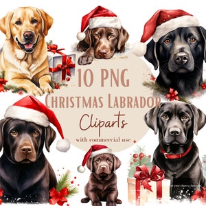 Kerst Labrador-afbeeldingen, Labrador Dog PNG-afbeeldingen voor uw creatieve of professionele projecten, inclusief commercieel gebruik