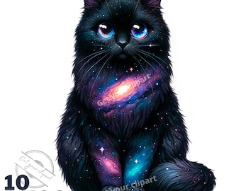 May include: A black cat with a galaxy swirling inside its fur. The cat has large blue eyes and is sitting with its paws tucked under its body.