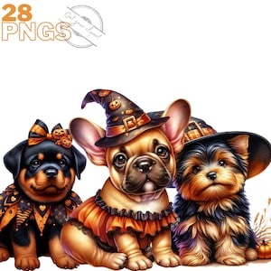 Halloween-Hundebilder, Labrador-Hund-PNG-Bilder für Ihre kreativen oder professionellen Projekte, kommerzielle Nutzung inbegriffen