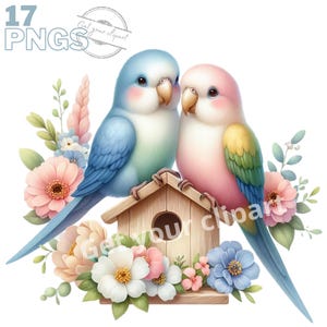 Ensemble d'illustrations de couple d'oiseaux, Clipart d'oiseaux façon aquarelle pour tous vos projets créatifs et professionnels
