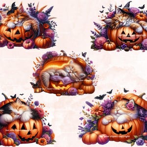 May include: Four adorable kittens are sleeping inside carved orange pumpkins with purple and green flowers surrounding them. The pumpkins have jack-o-lantern faces.