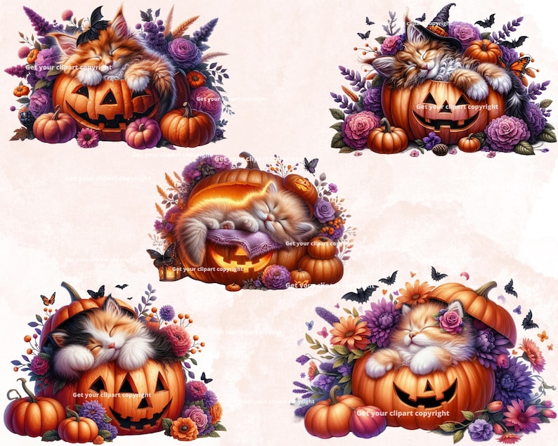 May include: Four adorable kittens are sleeping inside carved orange pumpkins with purple and green flowers surrounding them. The pumpkins have jack-o-lantern faces.