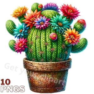 Ensemble d'illustrations de cactus, Cliparts de cactus façon aquarelle pour tous vos projets créatifs et professionnels