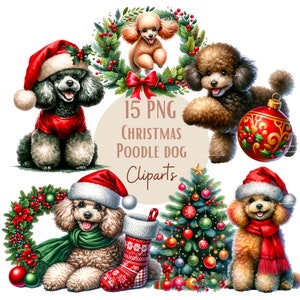 Images de Caniche de Noël, Images PNG de chiens Caniche pour vos projets créatifs ou professionnels, usage commercial inclus