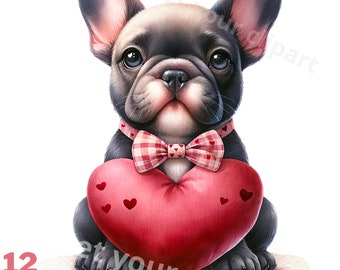 Valentines French bulldog png graphics, Valentines dog clipart, Set of 12, Transparent background, Commercial use, Instant download
