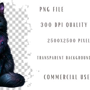 May include: A black cat with a galaxy swirling inside its body. The cat is sitting with its tail curled around its legs. The background is transparent.