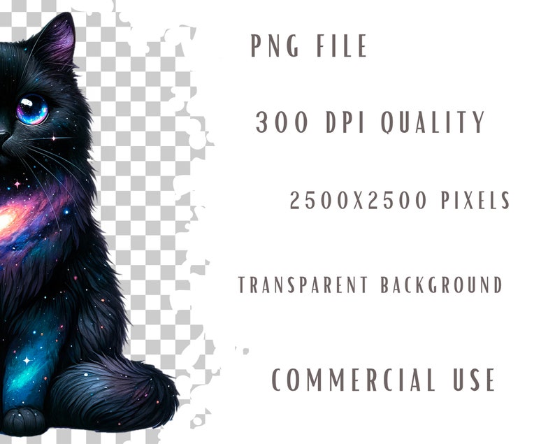 May include: A black cat with a galaxy swirling inside its body. The cat is sitting with its tail curled around its legs. The background is transparent.