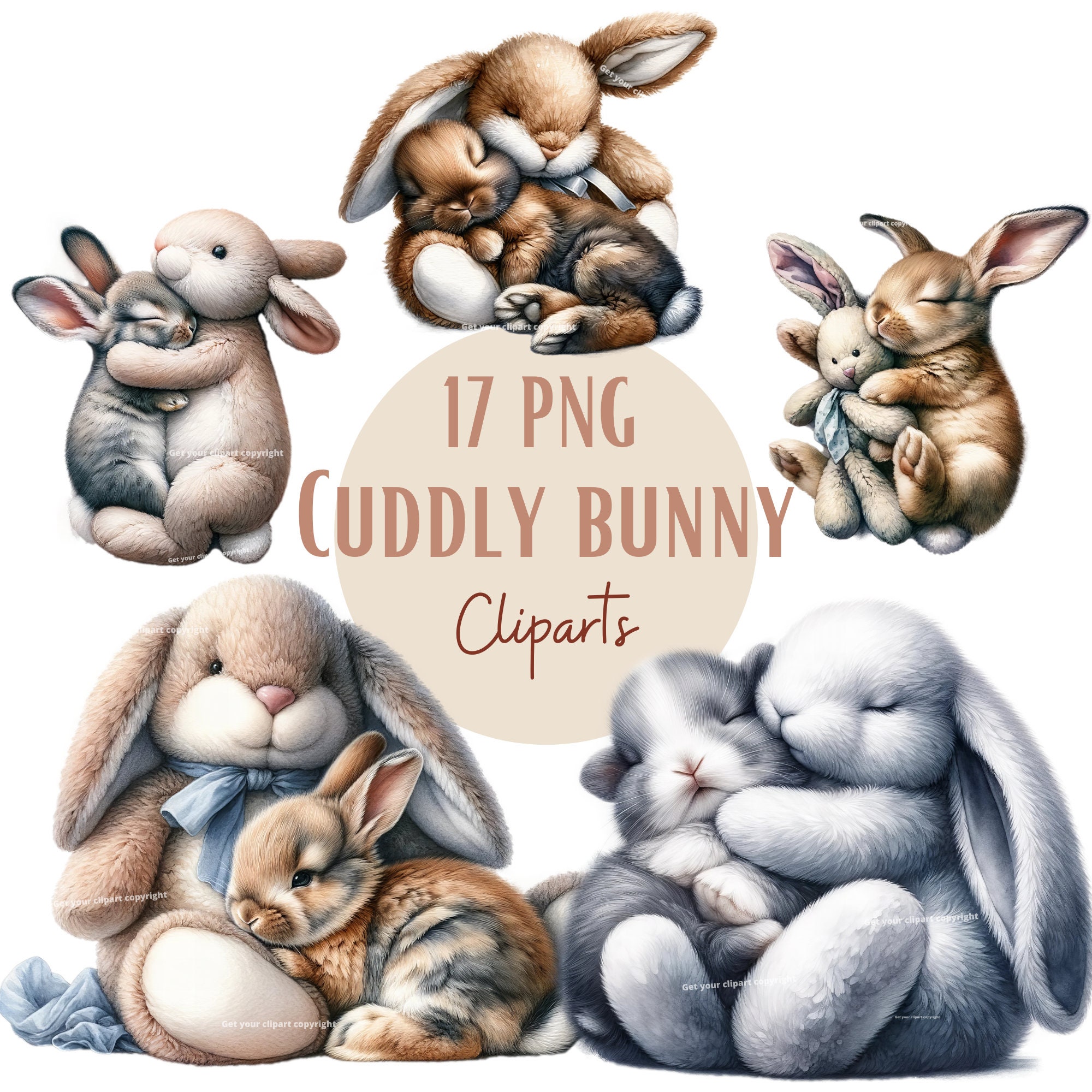 Cuddly Rabbit Jpg Cuddly Bunny Clipart Bundle, Cute Bunny Pngs, Spring Designs ...