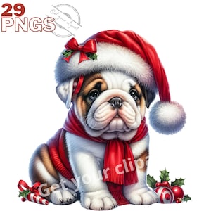 Immagini di Bulldog inglese di Natale, immagini PNG di cani Bulldog per i tuoi progetti creativi o professionali, incluso l'uso commerciale