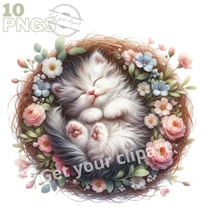 Ensemble d'illustrations de chaton dans un panier floral pour tous vos projets créatifs et professionnels, usage commercial inclus
