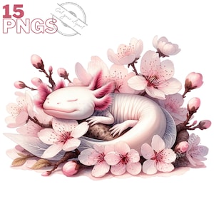 Ensemble d'illustrations d'Axolotl et de fleurs , Cliparts façon aquarelle pour tous vos projets créatifs et professionnels