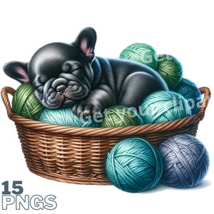 Puppy in a wool basket clipart bundle, Cute cat png graphics, Printable cat, Set of 12 With commercial use and transparent background
