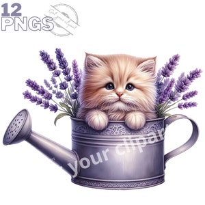 Ensemble d'illustrations de chatons et de lavande, clipart floral pour tous vos projets créatifs, usage commercial inclus