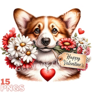 Images de Corgi de Saint-Valentin, Images PNG de chiens Corgi pour vos projets créatifs ou professionnels, usage commercial inclus