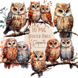Ensemble d'illustrations de Hiboux, cliparts d'hiver pour tous vos projets créatifs et professionnels, usage commercial inclus