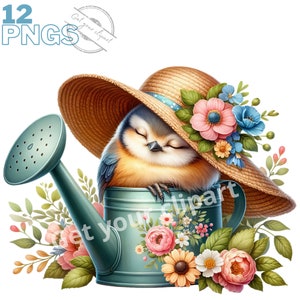 Set di illustrazioni di uccelli da giardino, clipart di uccelli ad acquerello per tutti i tuoi progetti creativi e professionali